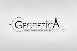 Logo Design Iasi