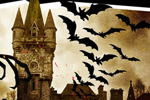 Newsletter_Design_20