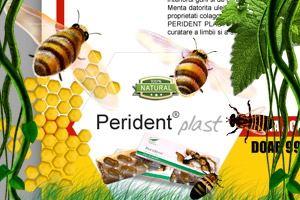 web-design-05