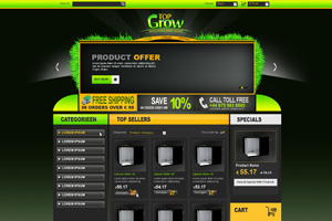 Web Design