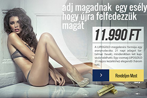 Web Design Hungary