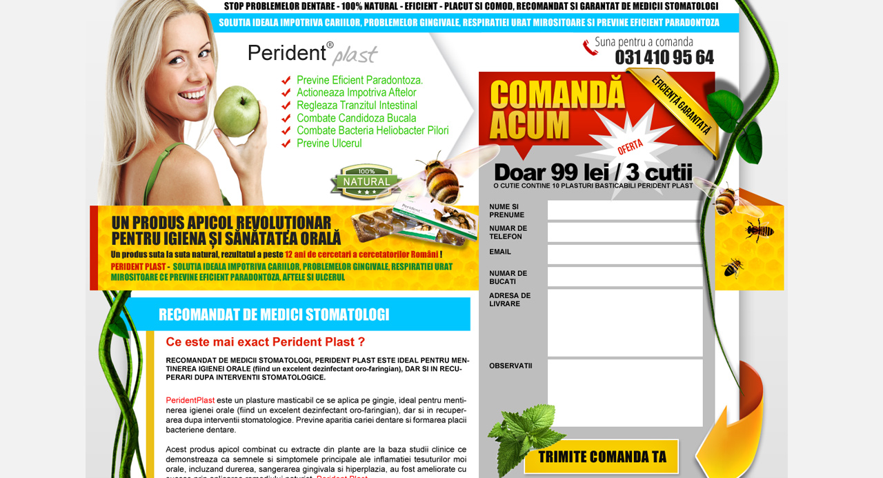 Perident Plast Webdesign
