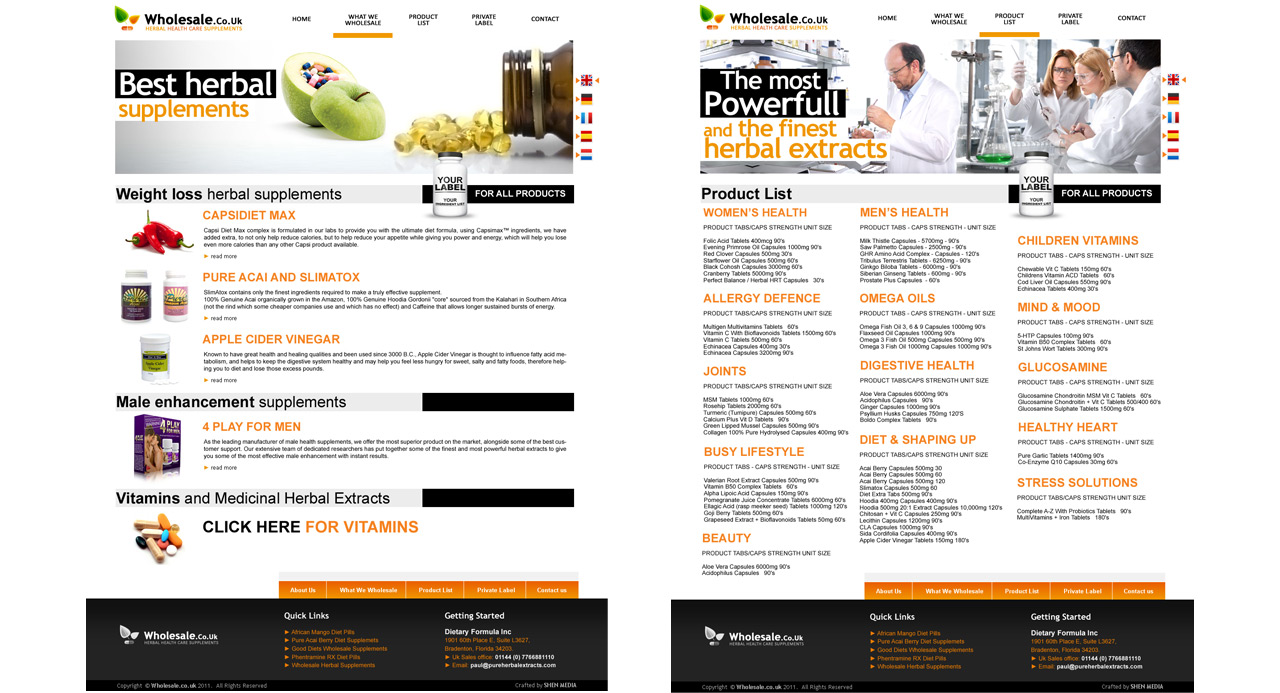 Web Design